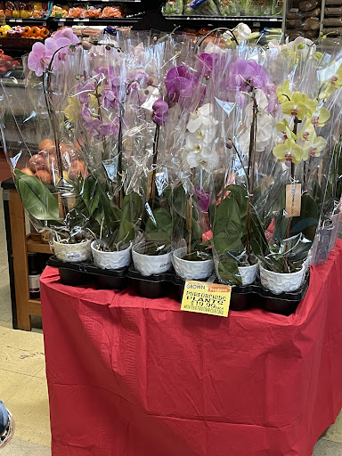 Grocery Store «Foodtown of Ralph Avenue», reviews and photos, 1958-66 Ralph Ave, Brooklyn, NY 11234, USA