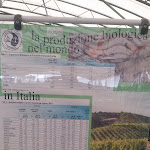 Photo n°2 de l'avis de Denis.e fait le 04/05/2019 à 18:20 sur le  Sagra Paesana Bastia à Ravenna