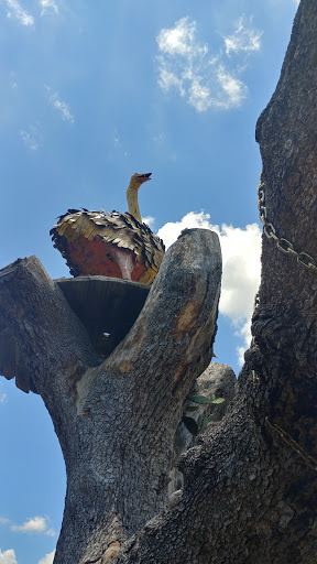 Golf Club «Flying Armadillo Disc Golf Club», reviews and photos, 3115 Hilliard Rd, San Marcos, TX 78666, USA