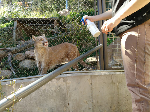 Community Center «Meadows Park Community Center», reviews and photos, 1943 S El Paso Ave, Colorado Springs, CO 80905, USA