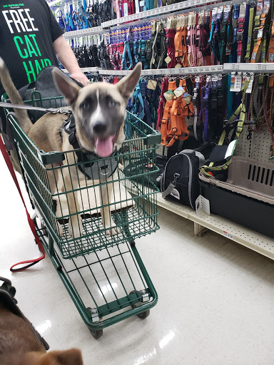 Pet Supply Store «Pet Supplies Plus», reviews and photos, 1856 Hendersonville Rd a, Asheville, NC 28803, USA
