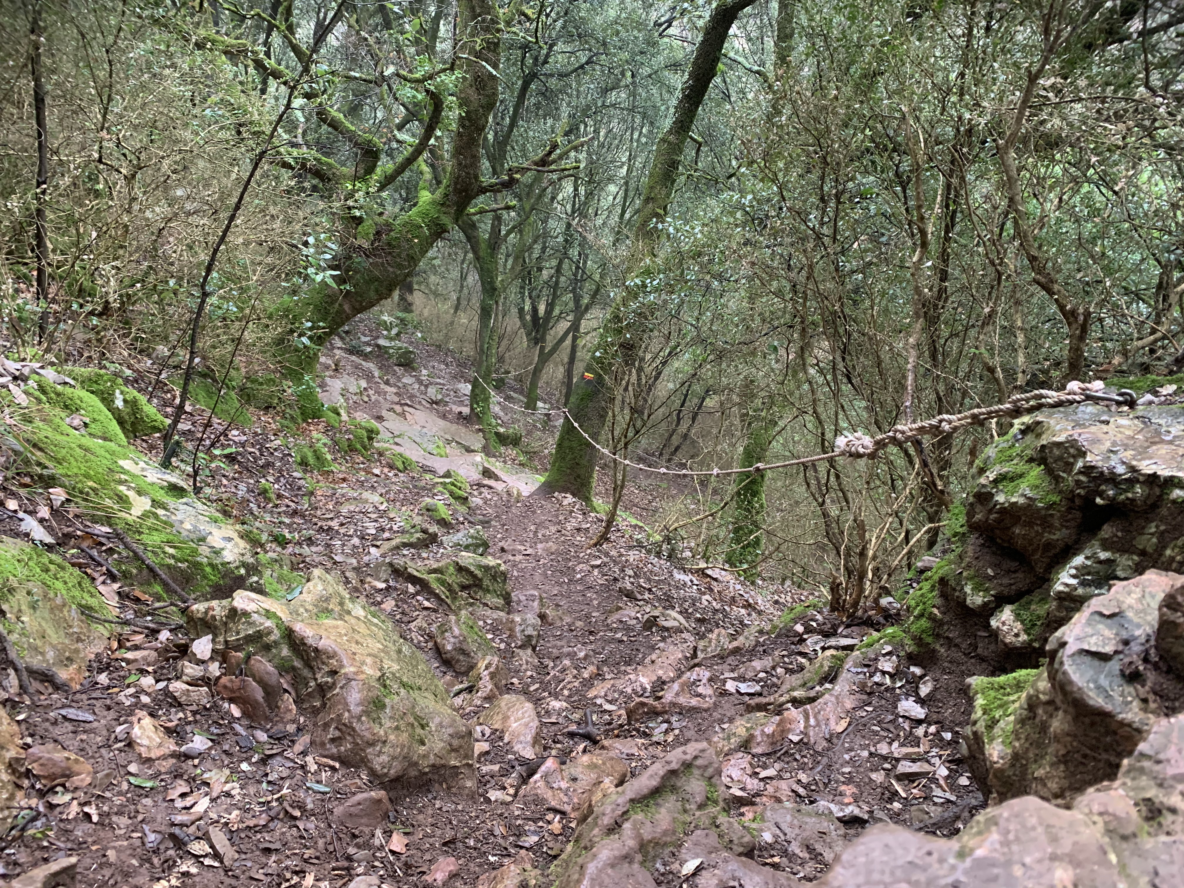 Photo n° 2 de l'avis de Corentin.e fait le 16/02/2020 à 18:32