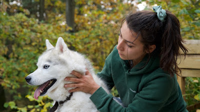 Emmanuelle BONNEAUD - Ostéopathie Animale (équin-canin-félin-NAC) à Guyancourt