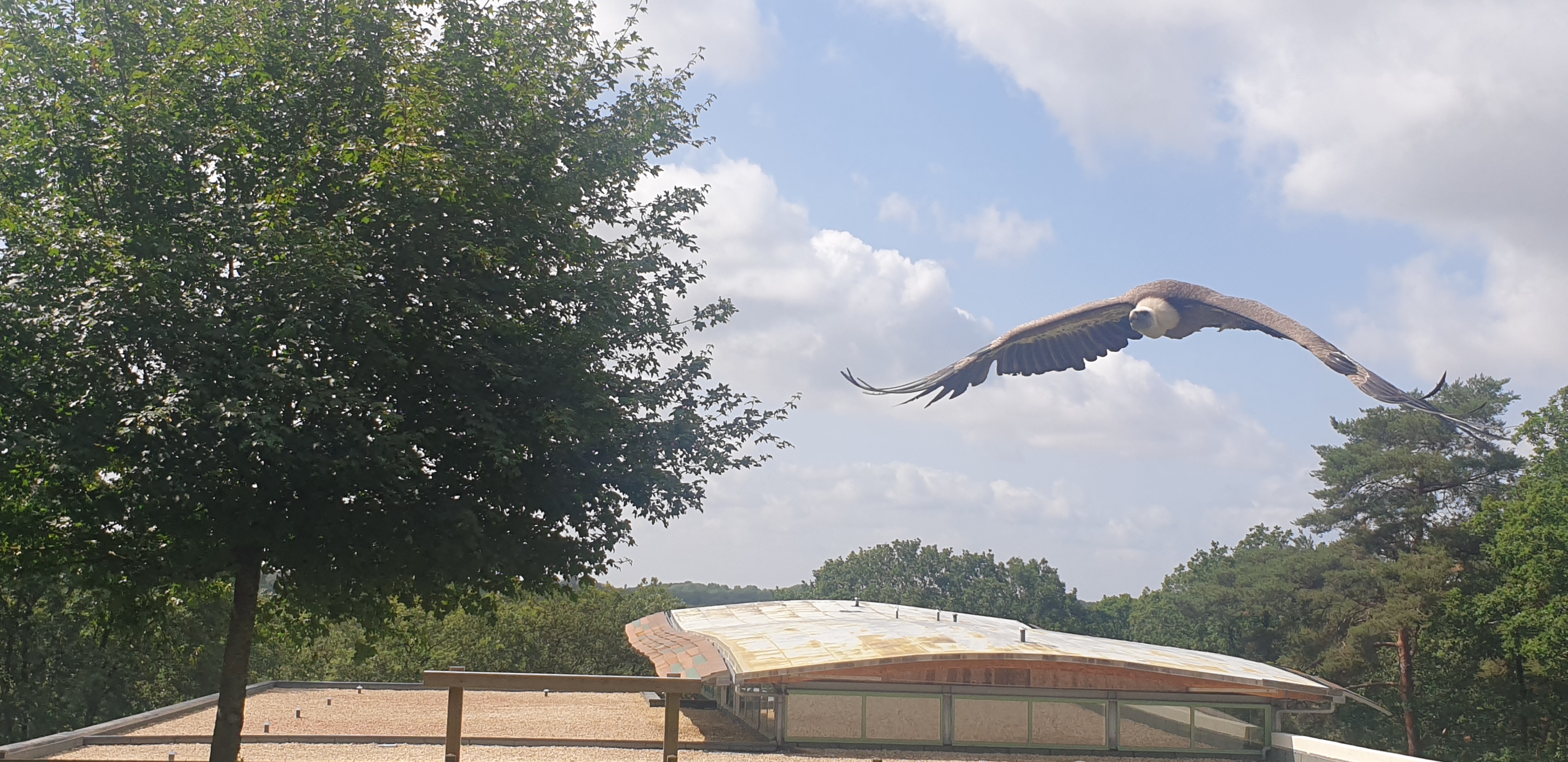 Photo n° 6 de l'avis de YetJ1402. fait le 16/07/2023 à 15:31