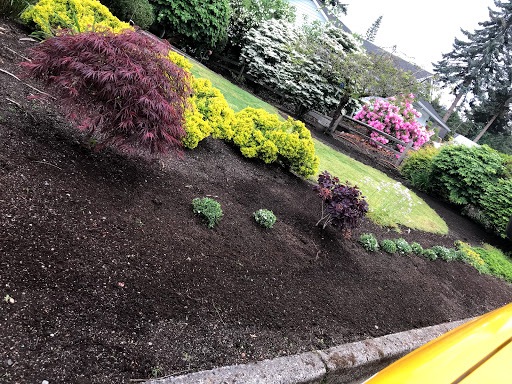 Park «Mineral Springs Park», reviews and photos, 1500 N 105th St, Seattle, WA 98133, USA