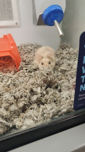 Pet Supply Store «Petco Animal Supplies», reviews and photos, 3012 Bridgepointe Pkwy, San Mateo, CA 94404, USA