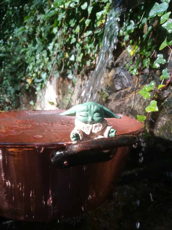 Photo n° 1 de l'avis de Françoise.r fait le 03/11/2021 à 16:15