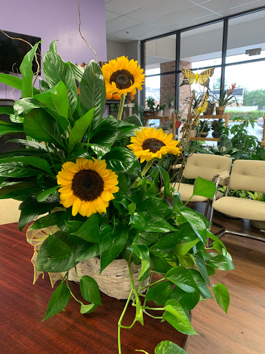 Florist «Flowers by Mila», reviews and photos, 4358 Holland Road, Virginia Beach, VA 23452, USA