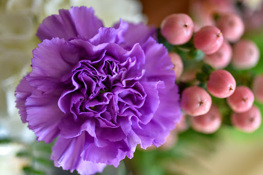 Florist «Purple Poppy Florist», reviews and photos, 2010 S Main St, Wake Forest, NC 27587, USA