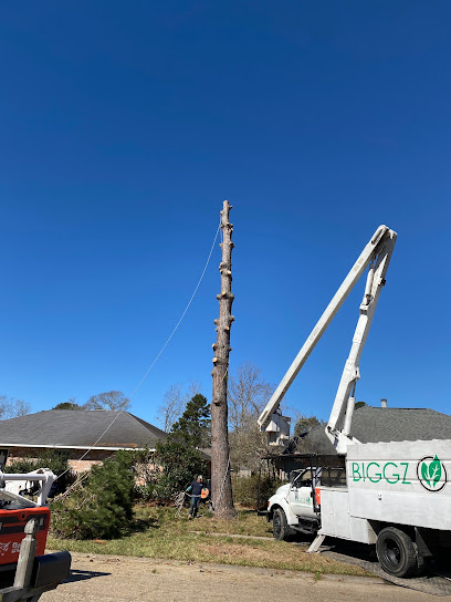 BIGGZ Tree Care