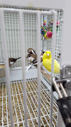 Pet Supply Store «Pet Supplies Plus», reviews and photos, 135-25 79th St, Howard Beach, NY 11414, USA