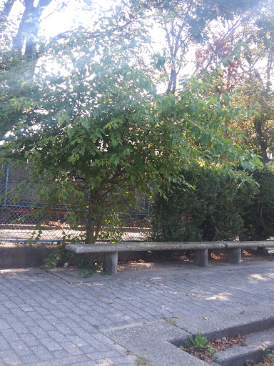 Park «Centennial Park», reviews and photos, 1 E Centennial Ave, Roosevelt, NY 11575, USA