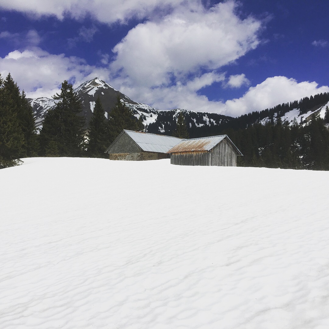 Photo n° 3 de l'avis de Quentin.e fait le 28/04/2018 à 22:47