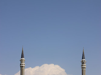 Çelebi Gaz-norşin Petrol