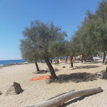 Photo n°2 de l'avis de Egidio.o fait le 10/09/2023 à 15:46 sur le  Trattoria Lu Pescatore à Torre San Giovanni