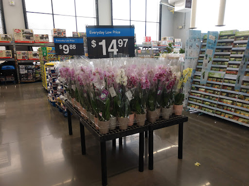 Department Store «Walmart Supercenter», reviews and photos, 1882 Holly St, Blair, NE 68008, USA