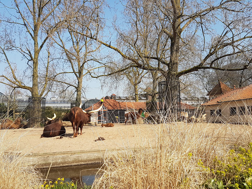 Animal farms Amsterdam