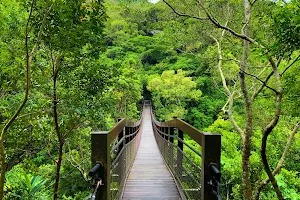 Shuangliu National Forest Recreation Area image