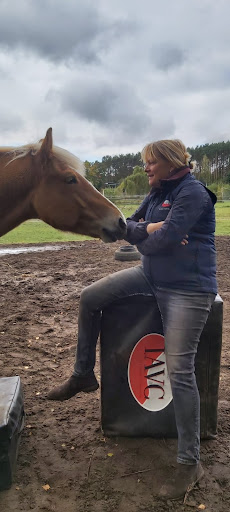 Tierarztpraxis für Chiropraktik, Akupunktur, gesunde Tierernährung, BEMER Therapie unter Kottmar, Sachsen