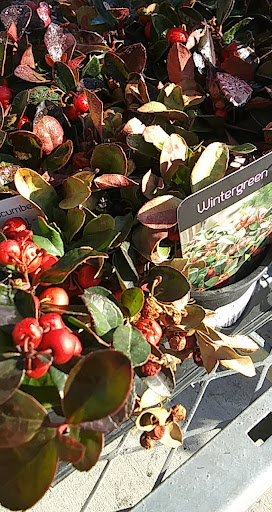 Home Improvement Store «The Home Depot», reviews and photos, 6921 Walton Ln, Gloucester Courthouse, VA 23061, USA