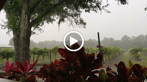 Winery «Fiorelli Winery», reviews and photos, 4250 Co Rd 675, Bradenton, FL 34211, USA