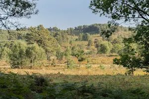 Barossa nature reserve image