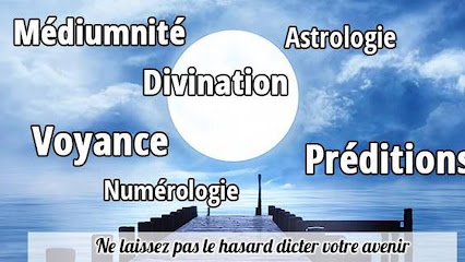 logo Lio Voyance medium astrologie et numerologie