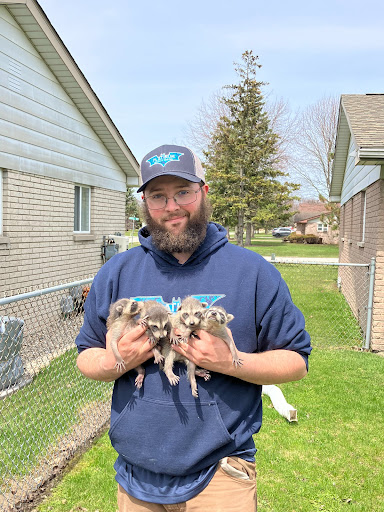 Animal Control Service «Platinum Wildlife Removal», reviews and photos