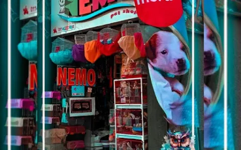 Pet shop nemo image