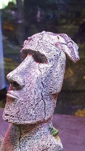 Pet Supply Store «OddBallPetFactory.com», reviews and photos, 8485 Plaza Blvd NE, Spring Lake Park, MN 55432, USA