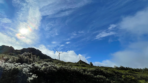 Galiña Azul A Fonsagrada en A Fonsagrada