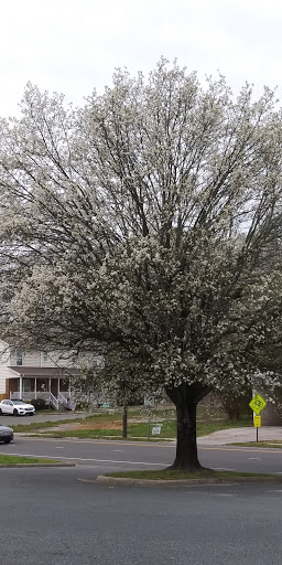 Laundromat «Bull City Suds Laundromat», reviews and photos, 1203 University Dr, Durham, NC 27707, USA