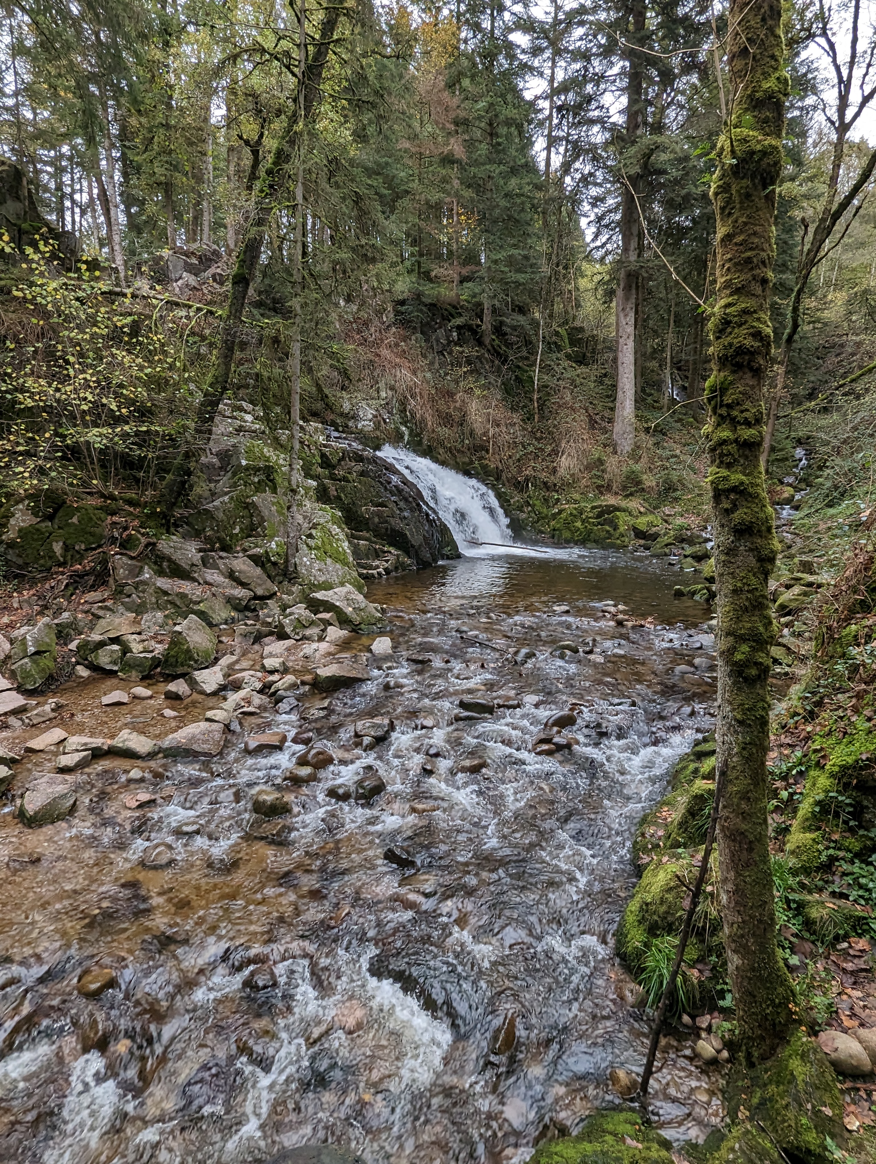 Photo n° 3 de l'avis de Kyukon.h fait le 10/11/2022 à 19:23