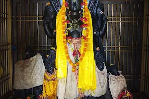 Shri Vishnu Dham Samas image