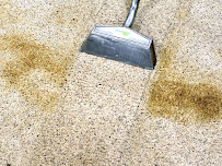 Global Cleaning Carpet Cleaning Chesapeake - Photo 2 - Car repair in , Chesapeake