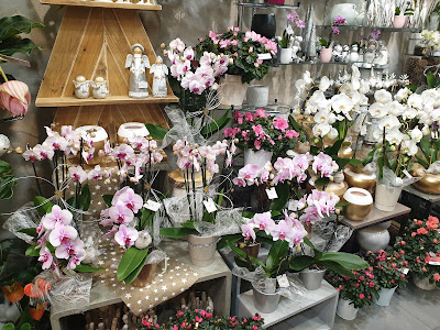 Le Passiflora à Cranves-Sales