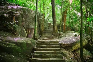 Bodhinagala Forest Reserve (Dombagaskanda) image