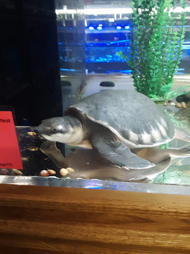 Pet Store «The Pet Zone», reviews and photos, 20 W Oak St, Pittston, PA 18640, USA