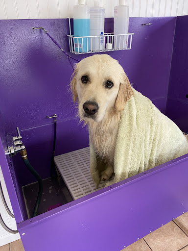 Gussied Up’s Grooming