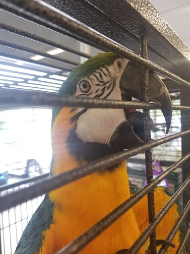 Pet Store «Delhi Pet Center», reviews and photos, 5665 Rapid Run Rd, Cincinnati, OH 45238, USA