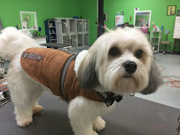 Agawam Dogworks - Photo 2 - Car repair in Agawam, MA, Springfield