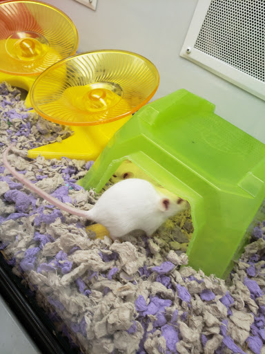 Pet Supply Store «Petco Animal Supplies», reviews and photos, 6181 Old Dobbin Ln #800, Columbia, MD 21045, USA