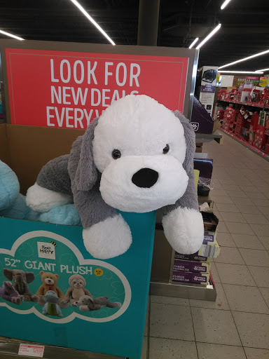 Supermarket «ALDI», reviews and photos, 2194 Hudson Ave, Irondequoit, NY 14617, USA