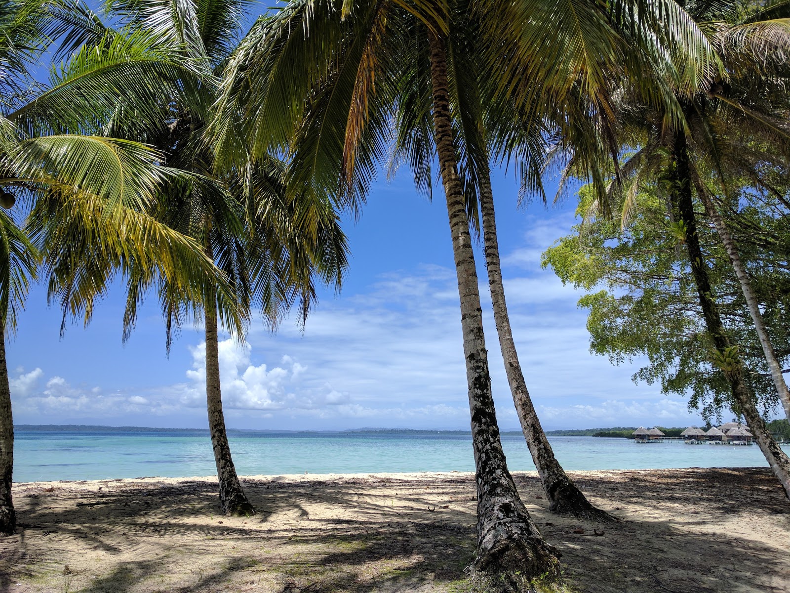 Foto van Salt Creek Beach met ruim strand