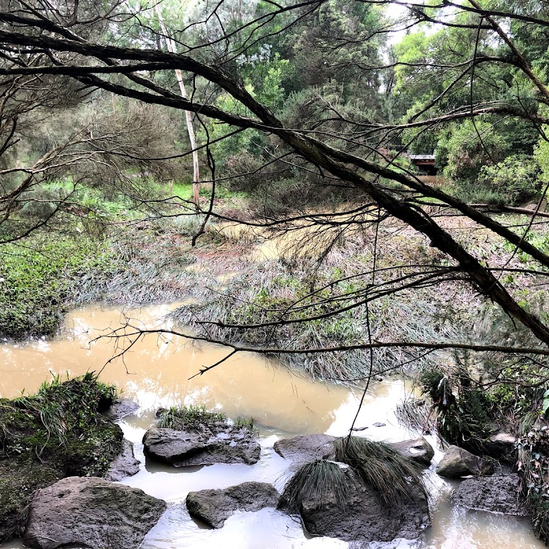 Blackburn Lake Sanctuary