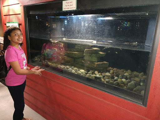 Theme Park «Fun Spot America Theme Parks-Orlando», reviews and photos, 5700 Fun Spot Way, Orlando, FL 32819, USA