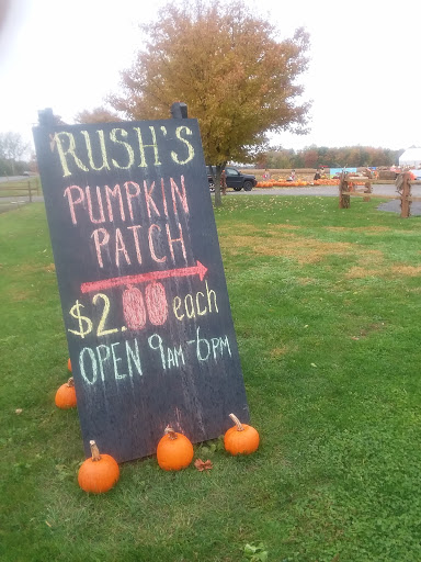 Produce Market «Rush Vegetables», reviews and photos, 2120 Eagle Harbor Waterport Rd, Albion, NY 14411, USA