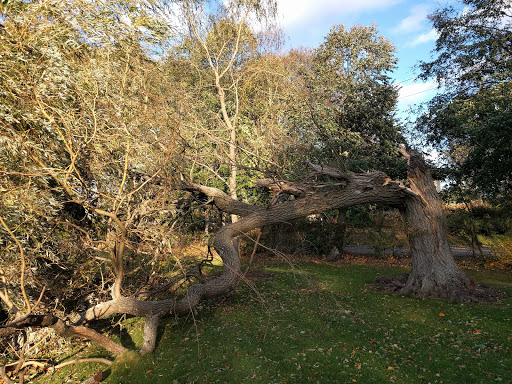 Park «Lyons Park», reviews and photos, Lothrop St, Beverly, MA 01915, USA