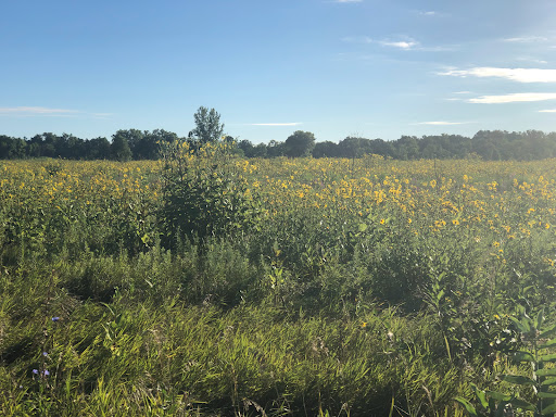 Nature Preserve «Rollins Savanna Forest Preserve», reviews and photos, 20160 W Washington St, Grayslake, IL 60030, USA