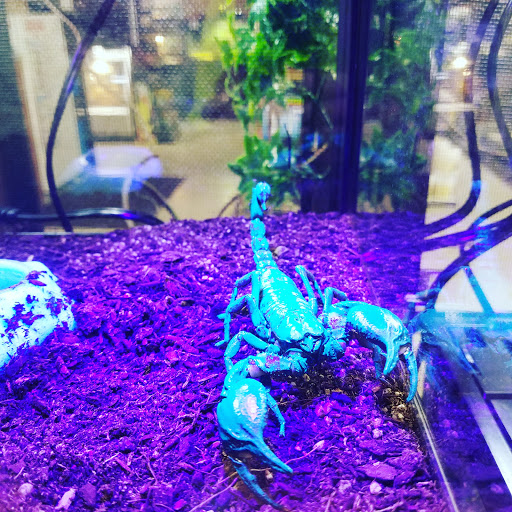 Pet Store «Pet Land», reviews and photos, 1450 Fort Campbell Blvd, Clarksville, TN 37042, USA